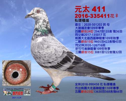 外祖母