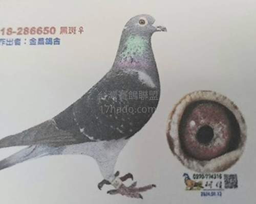 母