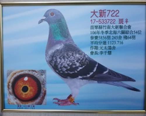 祖母