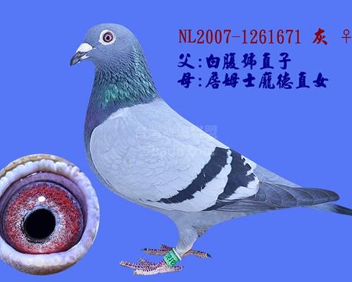 外祖母