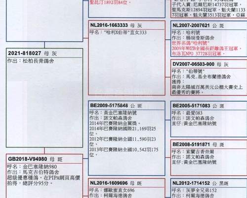母鴿血統表