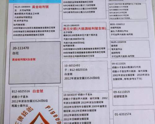 父鴿血統表