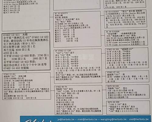 贈送鴿之母鴿血統書