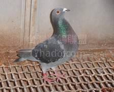 大文中北海春季綜合4位直子