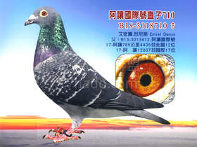 艾密爾.烈尼斯710